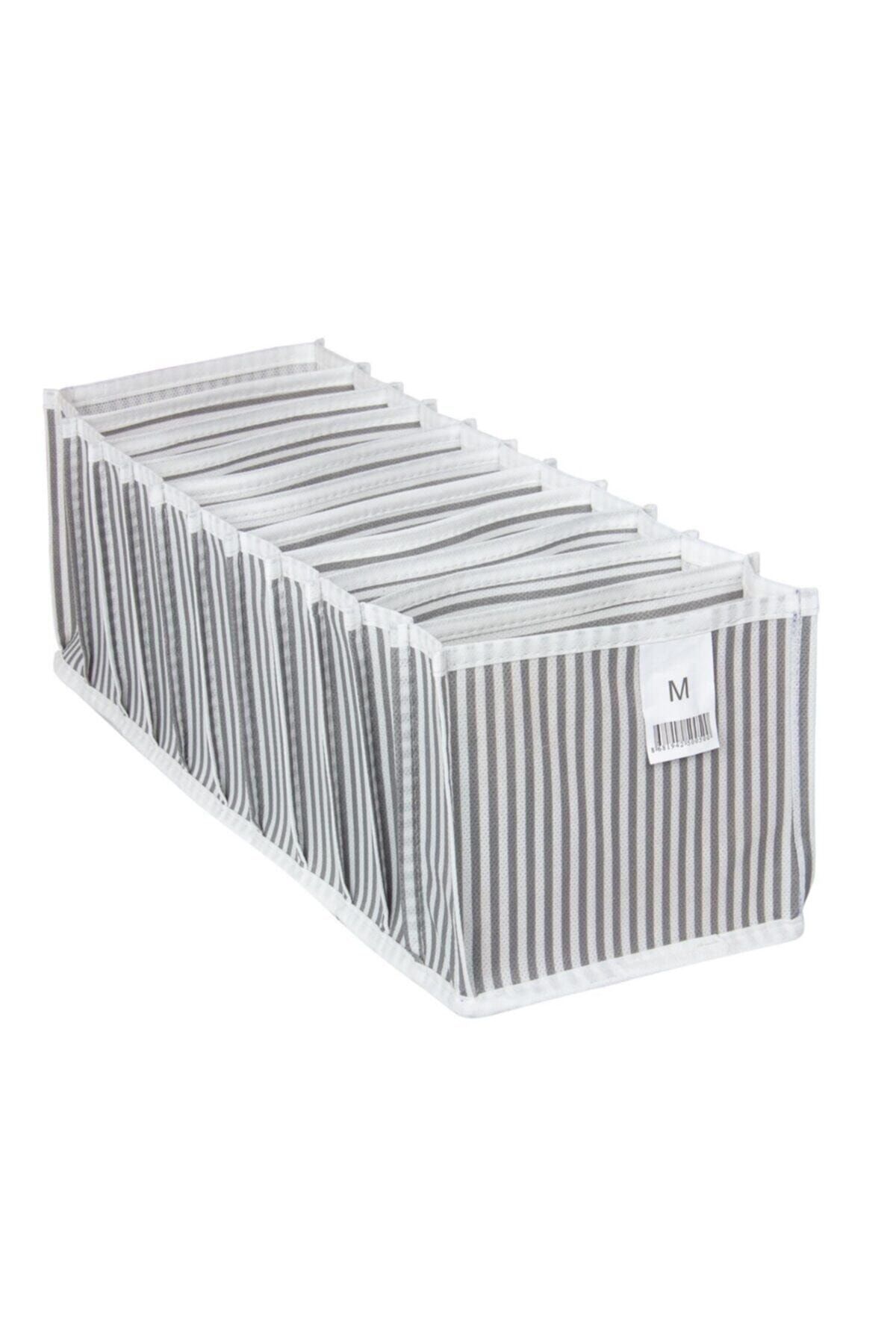Akordiyon Organizer M