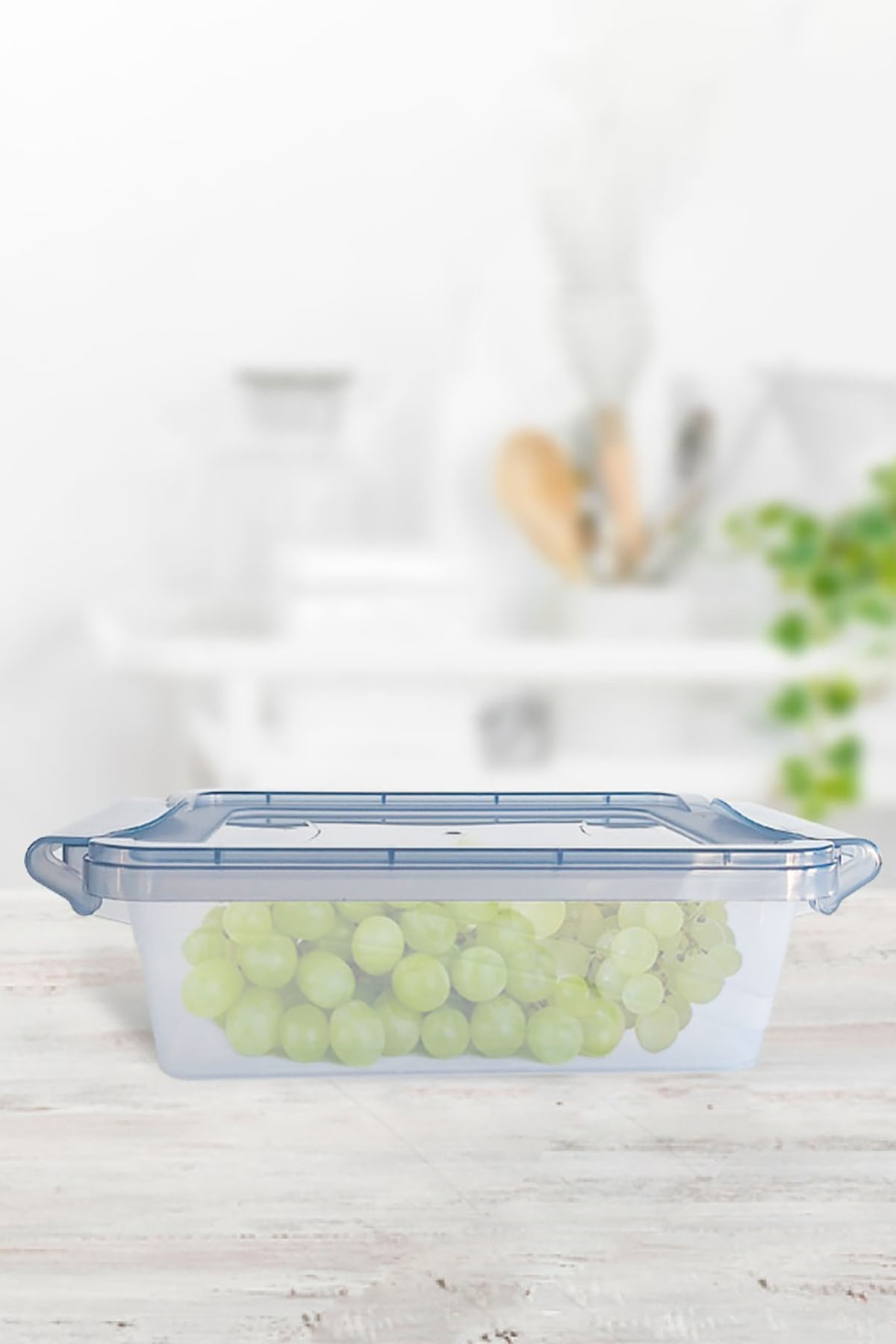 DecoBella 1 L Kilitli Saklama Kabı 81120 - Şeffaf