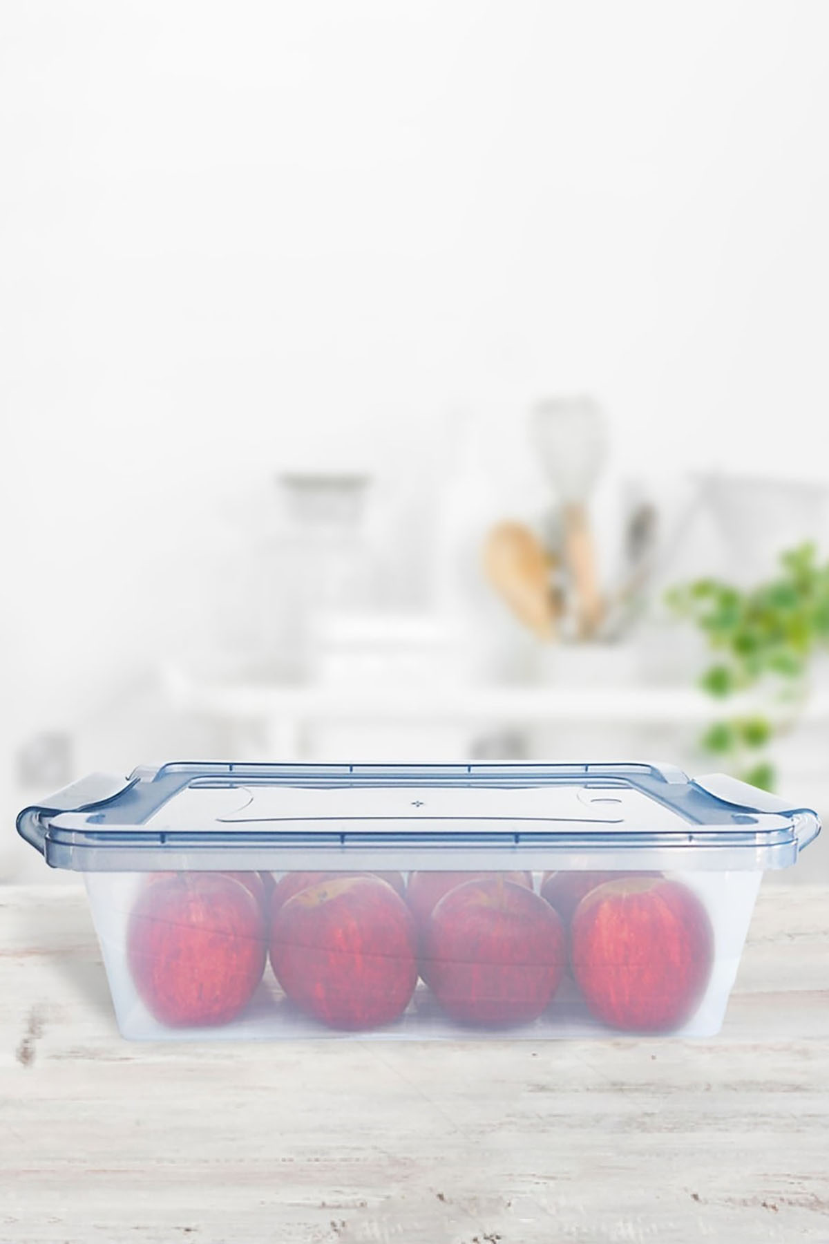 DecoBella Kilitli Saklama Kabı 2 L 81121 - Şeffaf