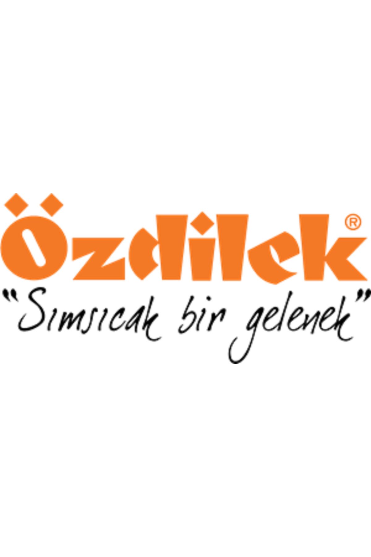 Özdilek Golden Palm Aile Bornoz Seti - Antrasit - Gri