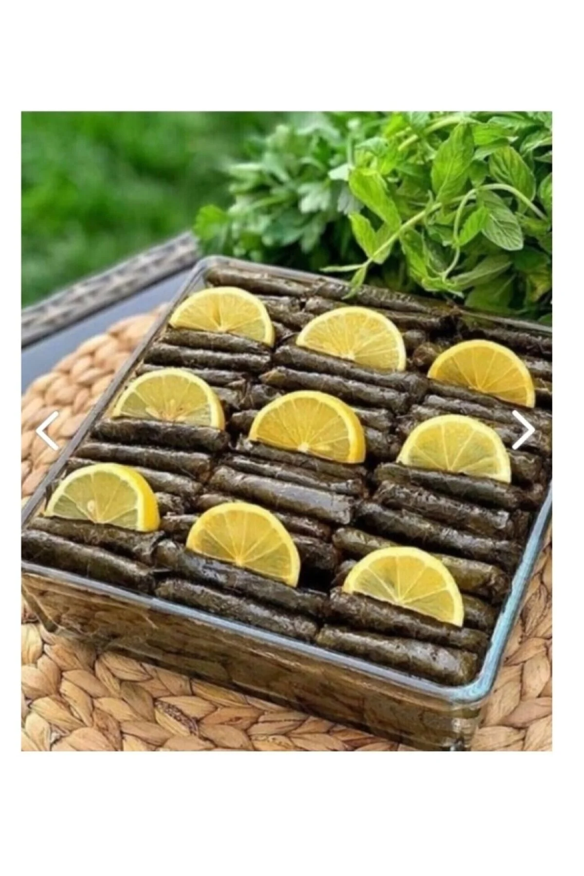 Paşabahçe Borcam Guzzini Dikdörtgen Tepsi 59304